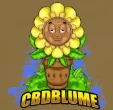 CBD Blume Shop mit CBD-Blüten, Öl und mehr, fokussiert auf Nachhaltigkeit und Reinheit.