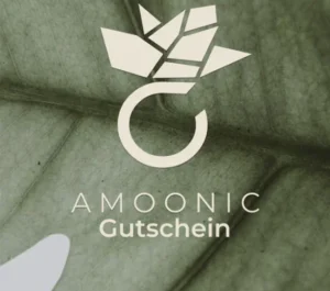 Amoonic jewelry website featuring personalized rings, earrings, and necklaces from Nuremberg. Highlights include customer reviews, a 10% newsletter discount, and trust badges like Climate Partner certification.