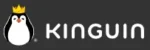 Kinguin â digitale Plattform fĂŒr Spiele, Software und Ingame-Produkte.